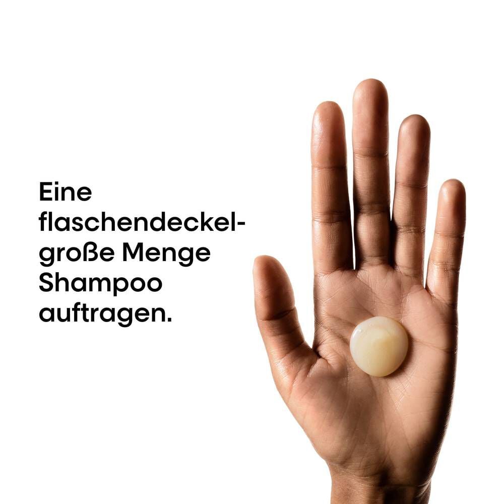 Hersteller-Anwendungshinweis zur Menge des Absolut Repair Shampoos