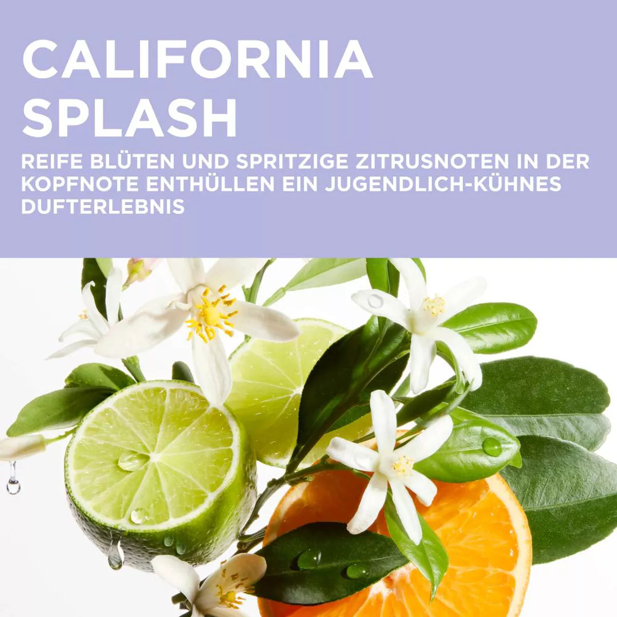 Kérastase Blonde Guard California Splash: Duft mit Blüten und Zitrus
