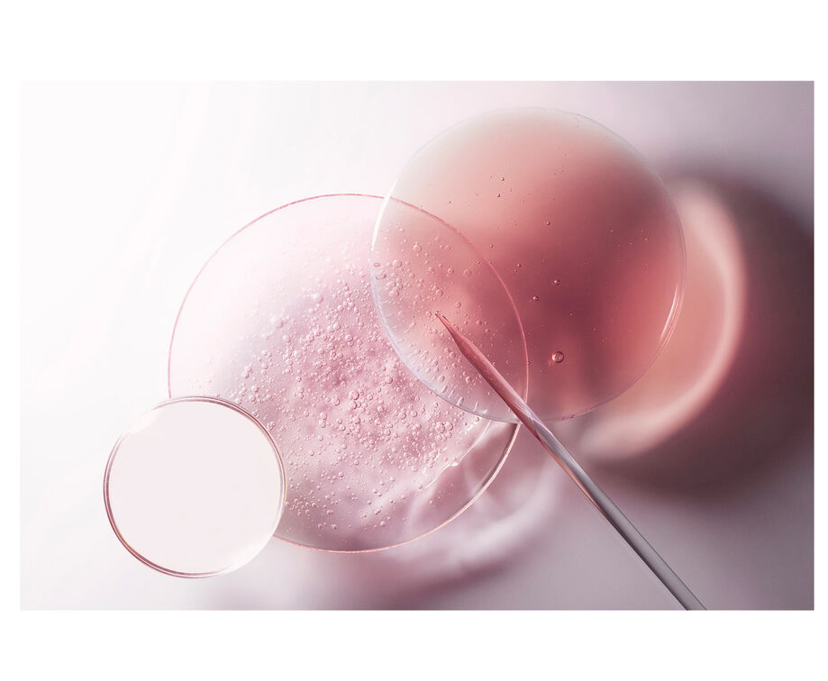 CHROMA ABSOLU BAIN RICHE RESPECT NACHFÜLLPOUCH 500ML Kerastase