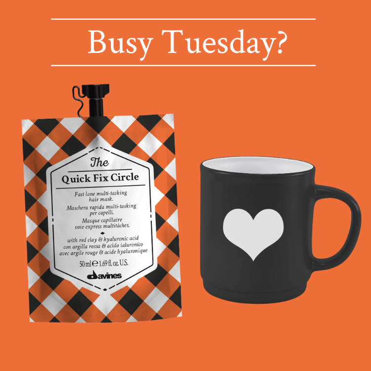 The Quick Fix Circle Davines